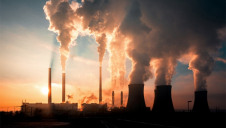 The IEA is forecasting an 8% year-on-year decline in coal generation - but government recovery plans could result in the coal sector rebounding